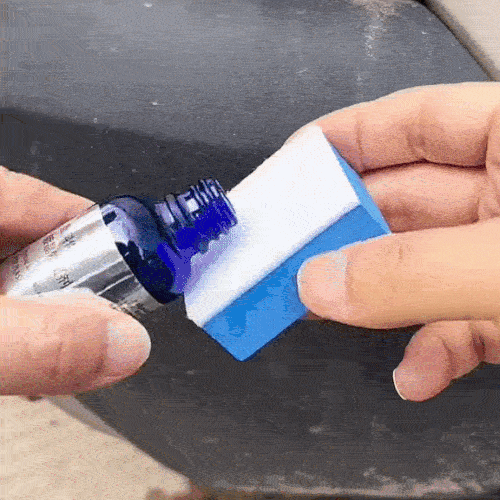 PlastNou Învie plasticurile fără viață!